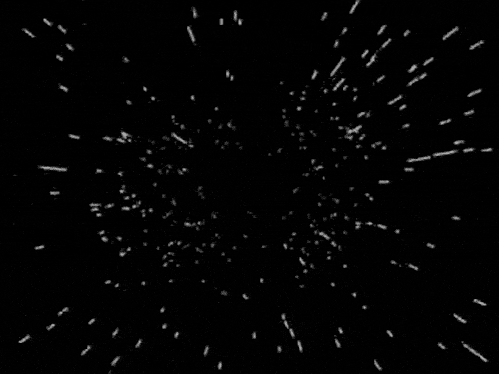 الطارق نيبيرو ، المهدي المنتظر