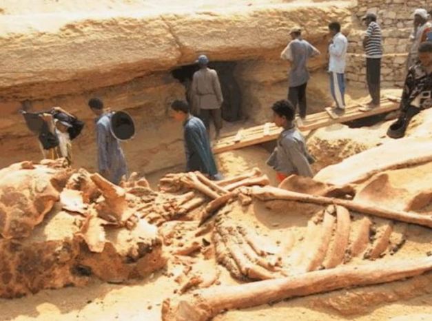 7ebf90d16e34c6d8c9f873e604628aad