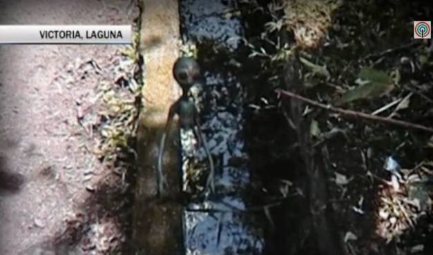 المخلوقات الفضائيه جن.