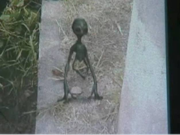 المخلوقات الفضائيه جن.