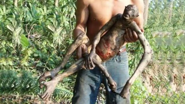 11218614_1631582930448453_2083893983535911879_n-1