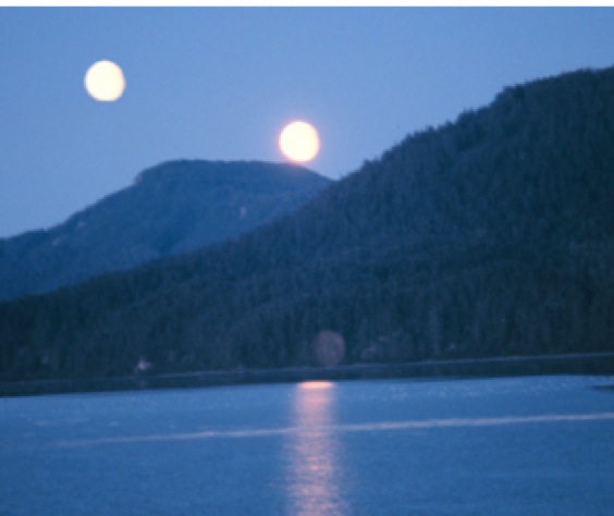 الطارق نيبيرو NIBIRU PLANET X 77