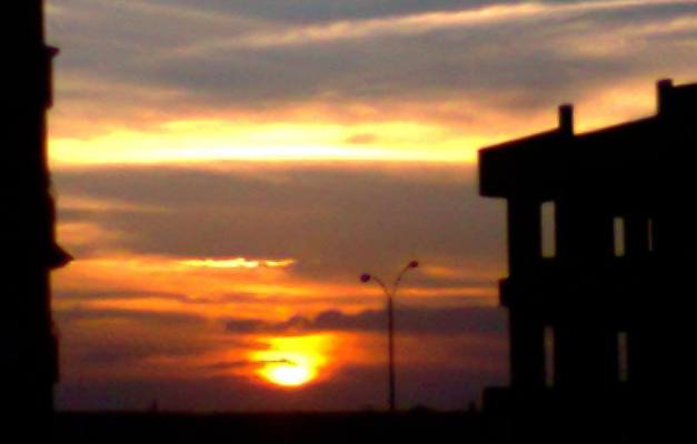 NEMESIS نميسيس