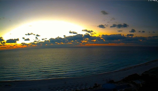 nemesis نيميسيس 2015