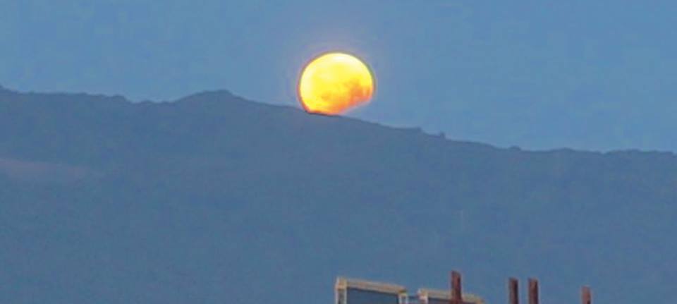 10410957_941843579193703_1232148121675943708_n