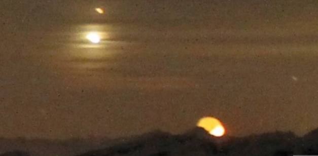 11016108_914130048631723_8501018775488151868_n