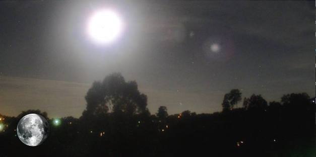 11133670_943160285728699_7758465713179180404_n