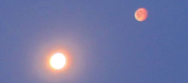 11146283_944543575590370_6647368072758830732_n