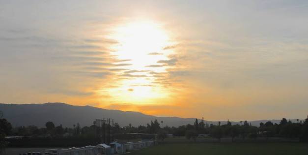 1609788_929529007091827_441953558172703420_n