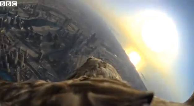 17287_931884256856302_3077948131358291376_n