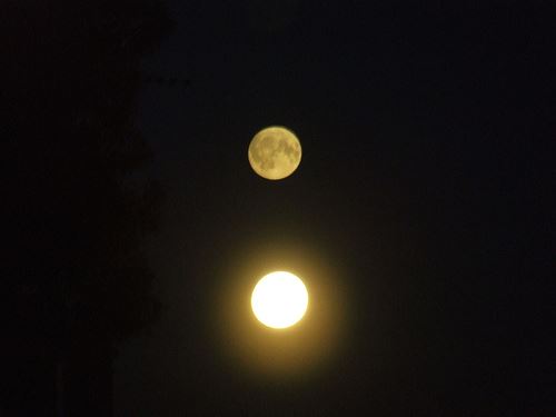 1959995_939762346068493_900178301169841074_n