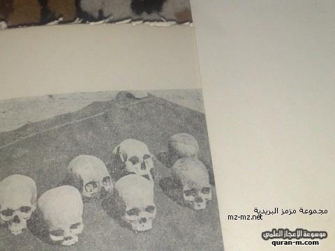 هياكل عظميه لاهل الكهف