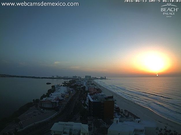 النجم الطارق نميسي يظهر في مصر