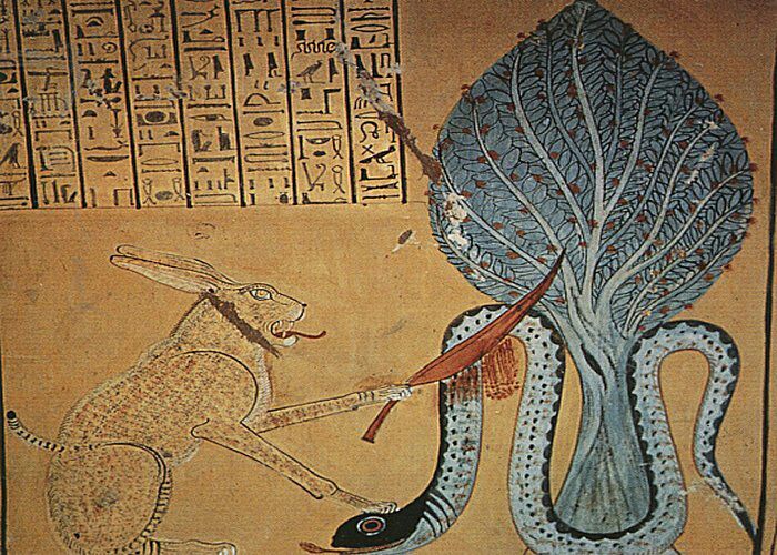 شحره الحنظل