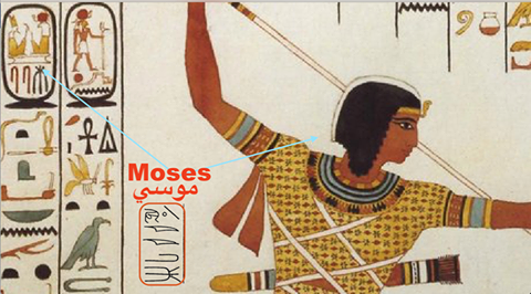 20155790_1853312264985030_7799871824471367635_n