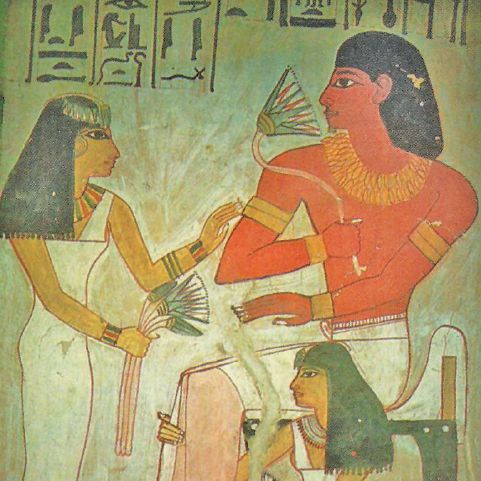 a5563a4ecc2147e78996ce902ef03576