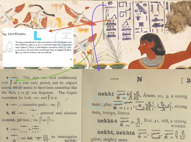 اسم سليمان بالهيروغليفي 