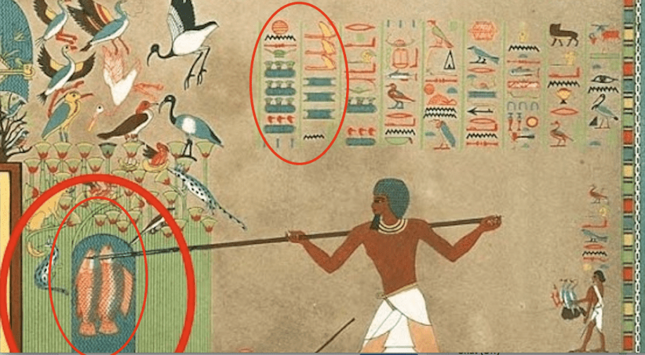 سليمان - solomon