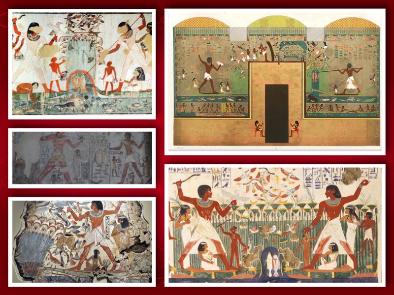 سليمان -  solomon