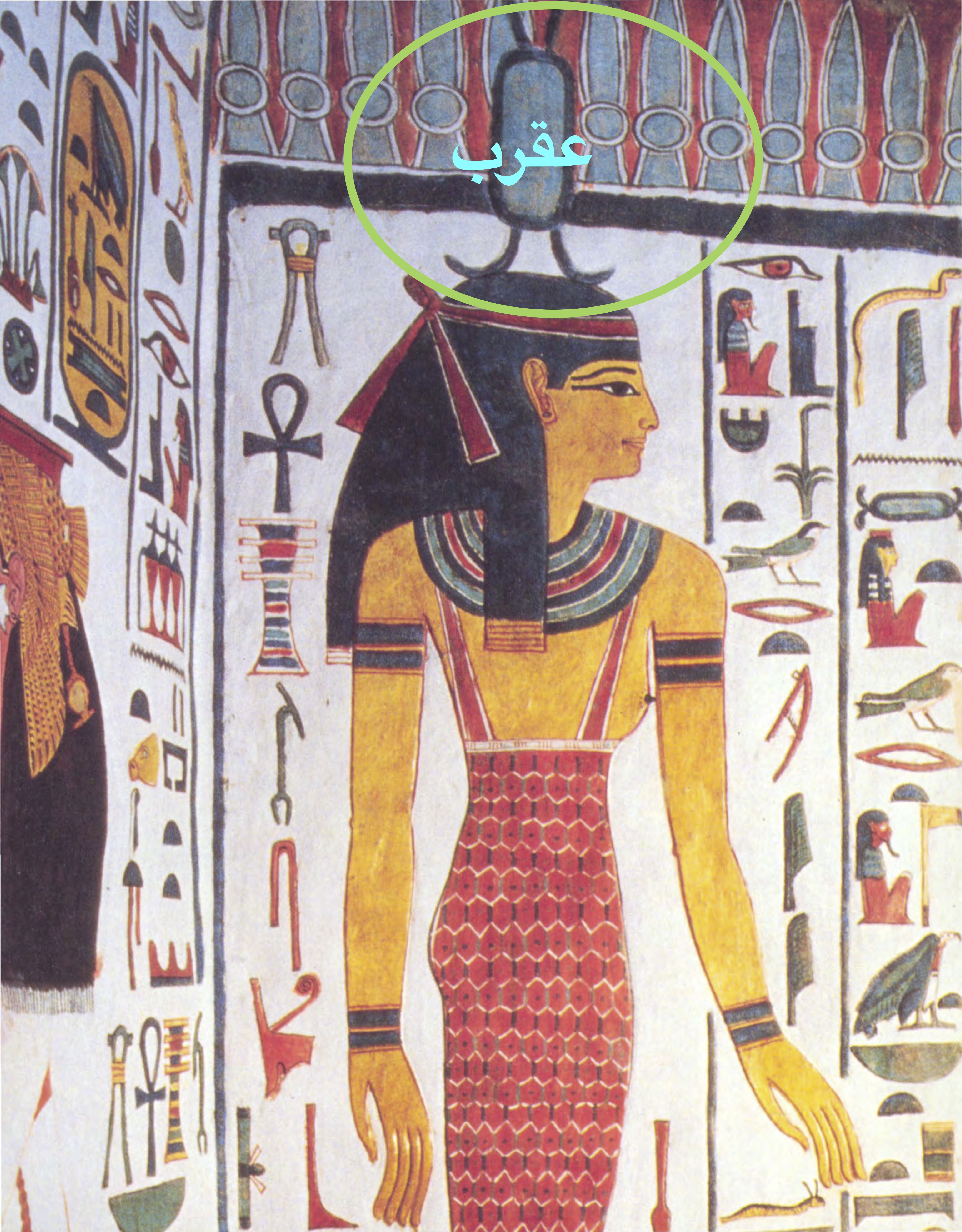 السيسي الفرعون العقرب