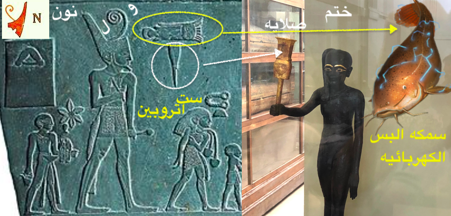 السيسي يسمم الماء