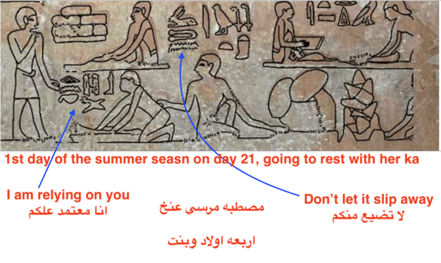 موت الرئيس مرسي مخنوق