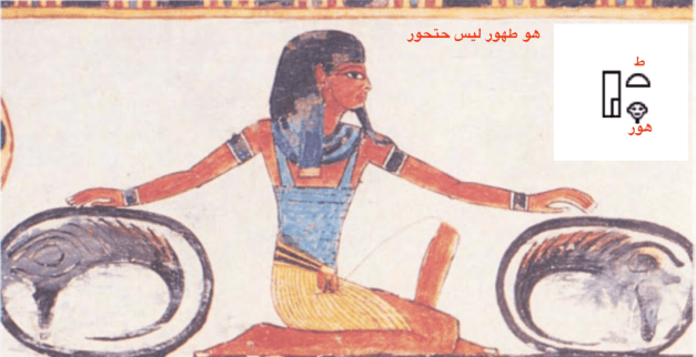 الولي الختم