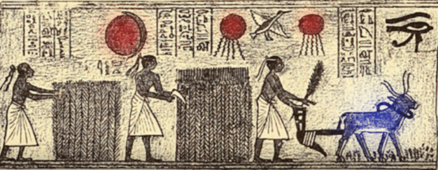 screen shot 2019-01-14 at 7.10.02 pm