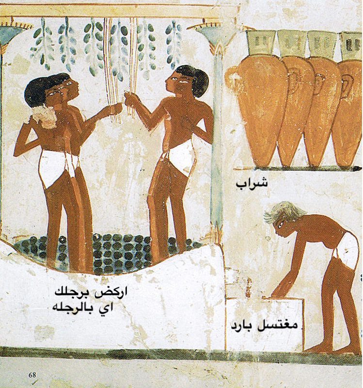 البقله الحمراء