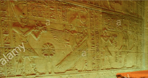 Screen Shot 2019-03-26 at 12.00.31 PM