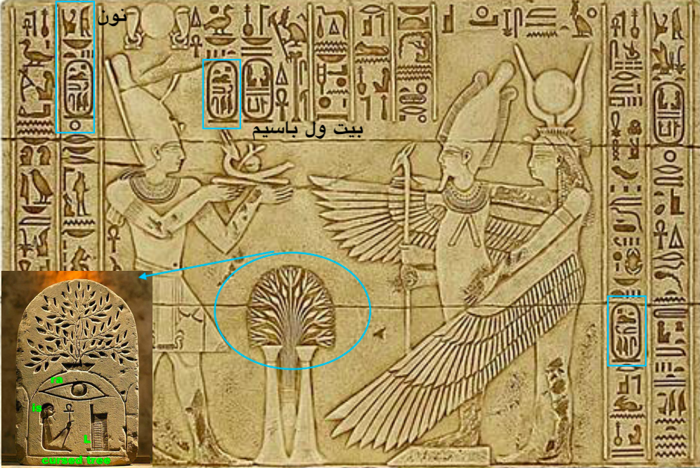 الشجره الملعونه في القران وكل الاديان cursed tree 