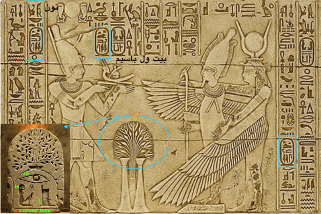 الشجره الملعونه في القران وكل الاديان cursed tree 