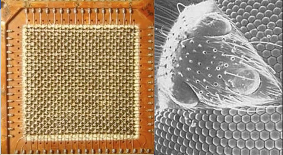 سر بناء الاهرامات